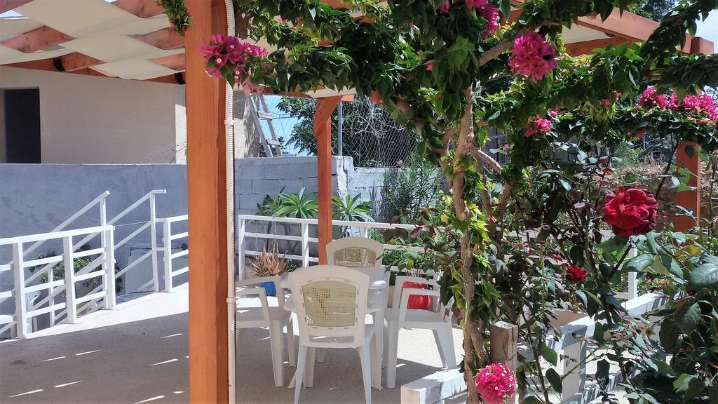 Aroma Stegna Sea Apartman Kültér fotó